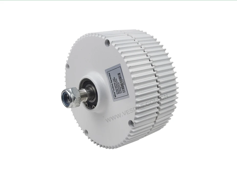 300W_12