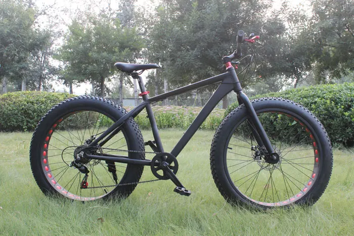 passion-ebike-fat-bike-04-01-08