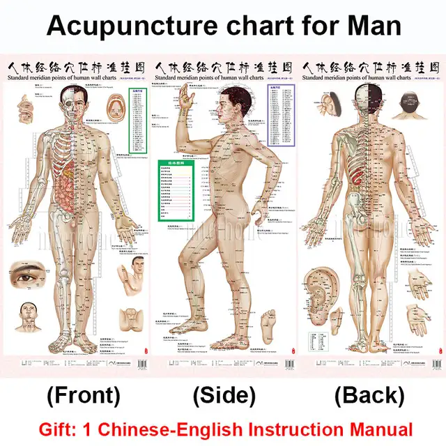 Abdominal Acupuncture Points Chart