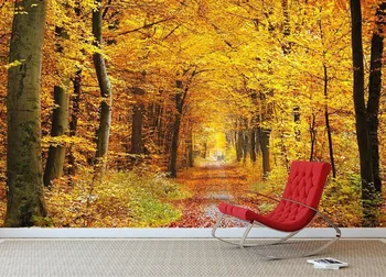 

[Self-Adhesive] 3D Autumn Forest Path 32 Wall Paper mural Wall Print Decal Wall Murals