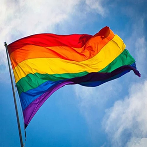 

Rectangle Rainbow Flag Large Polyester Lesbian Gay Pride Symbol LGBT Flag