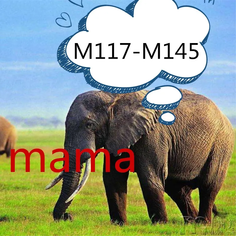 

M117-M145 mama metal cutting dies Please contact me for photos The die only matches the stamps in my store