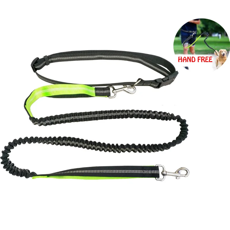 Hands Free Leashes for Small Medium Large Dogs Reflective Retractable