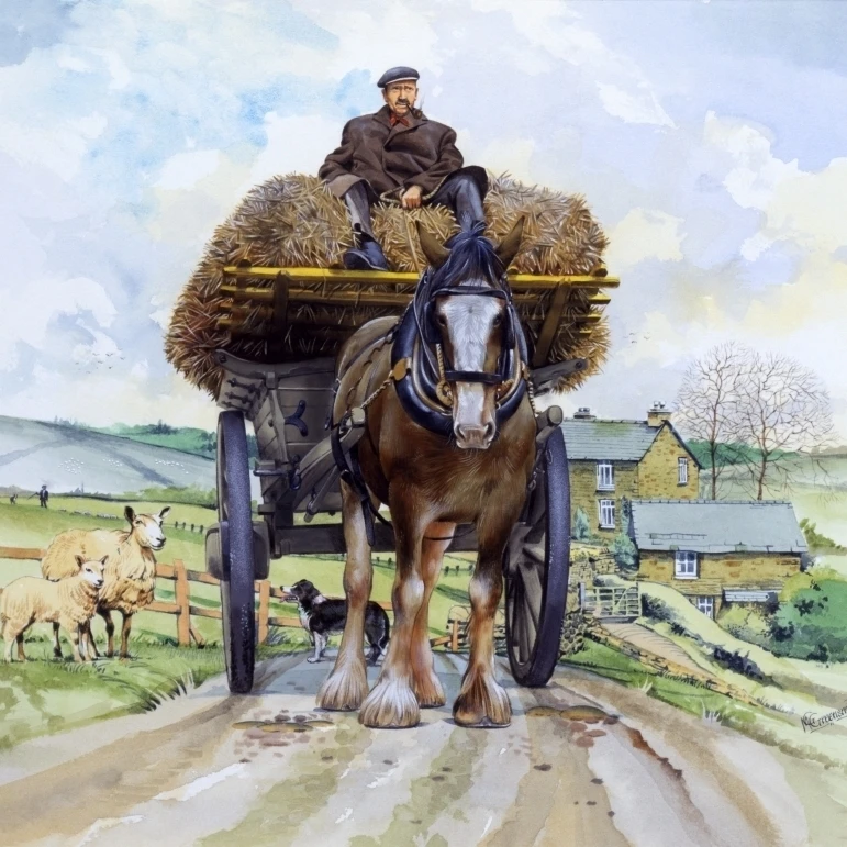 Shire Horse Pulling A Hay Wagon Poster Print By Malcolm Greensmith