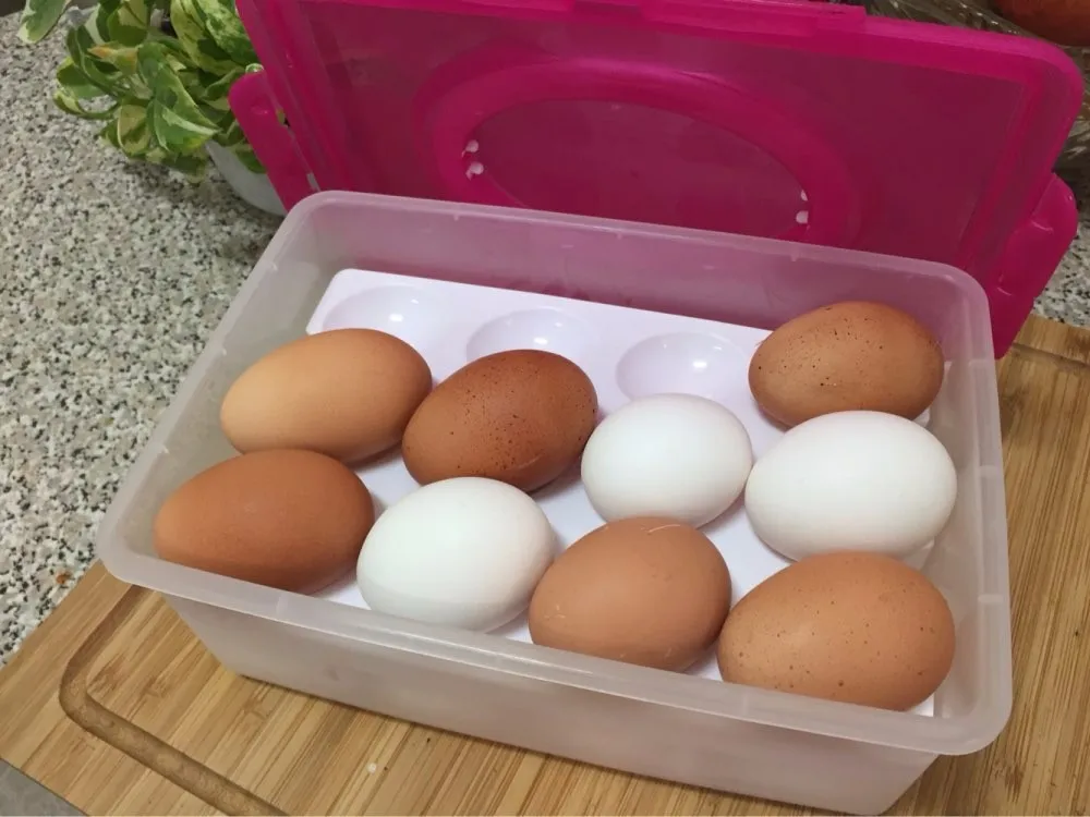 UT8HvvEXq4aXXagOFbXV