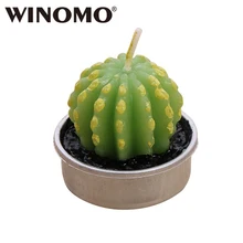 

WINOMO Simulation Plant Candle Mini Cactus Candles Home Decor Table Tea Light Garden Decorative Candle
