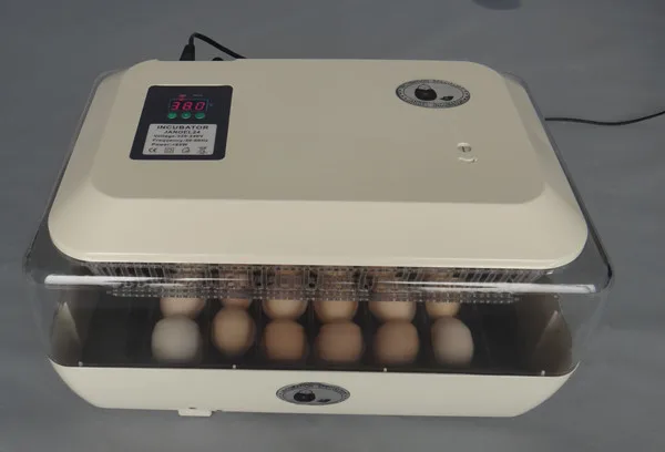 Продам инкубатор для яиц. Инкубатор "wq-24". Инкубатор 12 egg incubator. Инкубатор иб2нб. Инкубатор сититек 36.