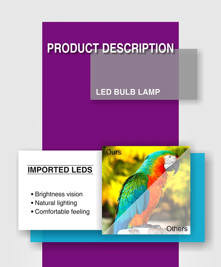 LED Bulb Lamp_03