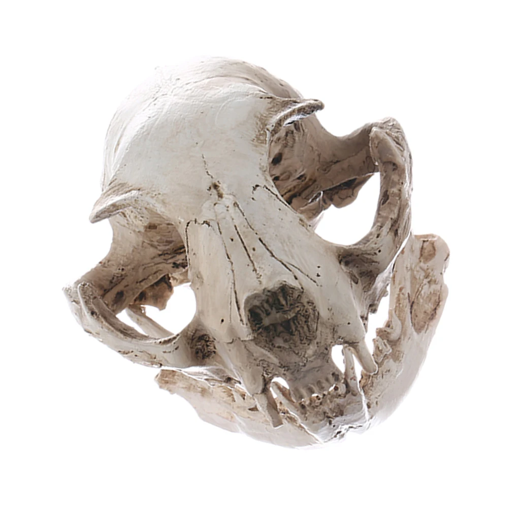 Resin Cat Skull Bone Statue Figurine Model Aquarium Fish Tank Ornament Decor