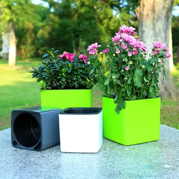 

Laziness Pots Square New PP Resin Plastic Free Water Self Absorbent Flowerpot