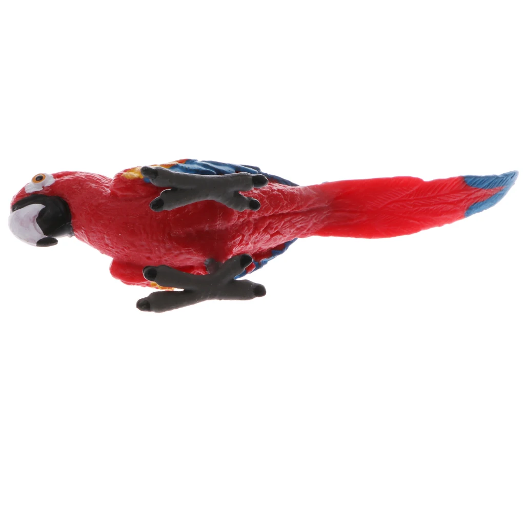 Plastic Realistic Wildlife Jungle Forest Animals Parrot Action Figure Toys Playset, Eduactional Toys For Kids Collectibles