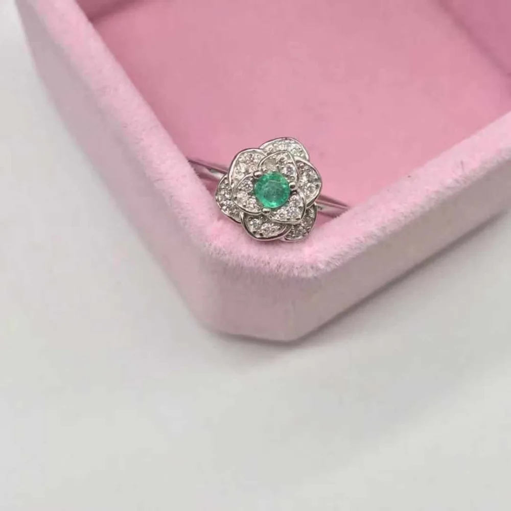 32099170285027518