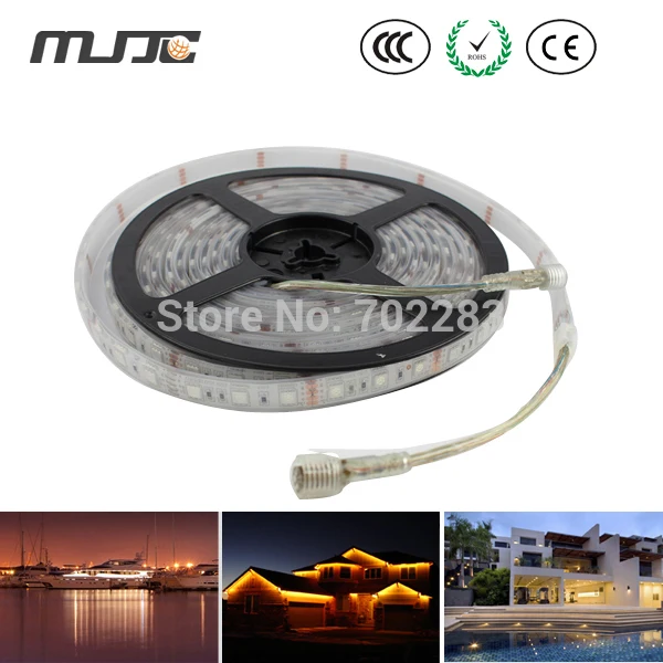 buy 5M 12V 24V IP68 Waterproof 5050 SMD 300LEDs RGB LED Flexible Strip Underwater Decoration Advertisement Holiday 10mm