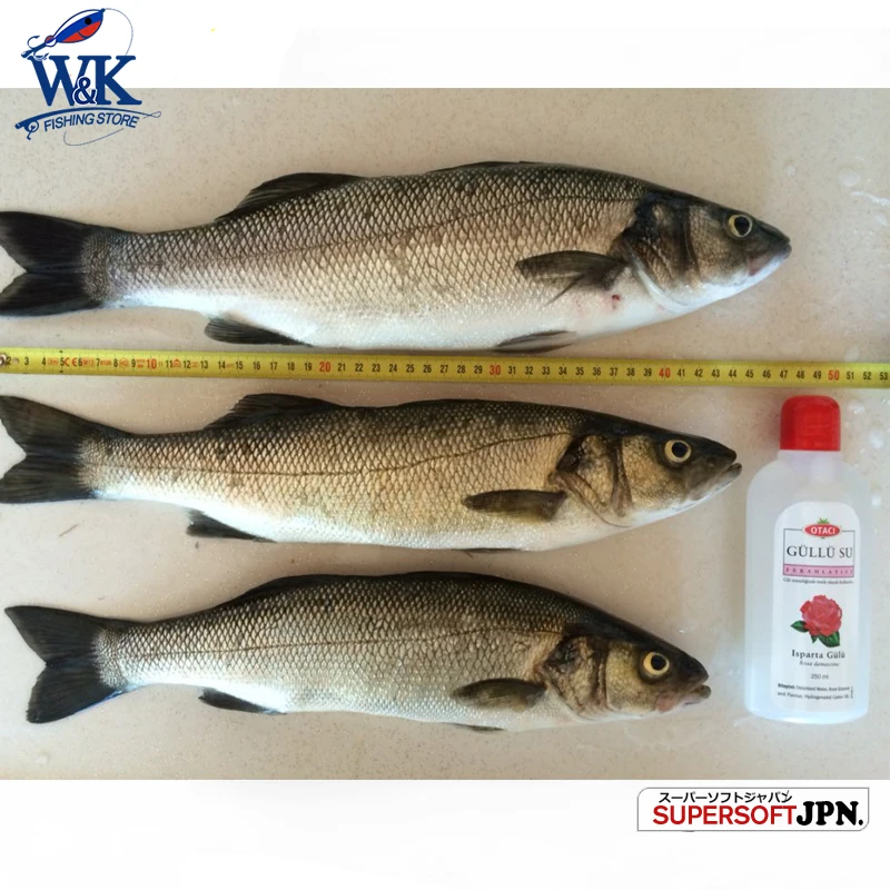 Seabass Fishing Lure Kit at 6cm 7.5cm 9cm 11.5cm 14.5cm Soft Lure