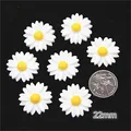 22mm 30pcs
