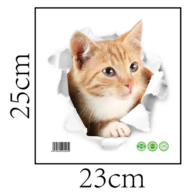 8855887750_896155306