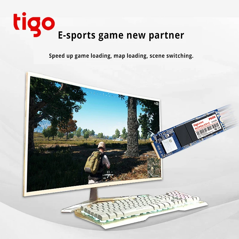 Tigo SSD 240 ГБ PCIe M.2 2280 Внутренний твердотельный накопитель hhd PCI e 3 0x4 NVME настольный