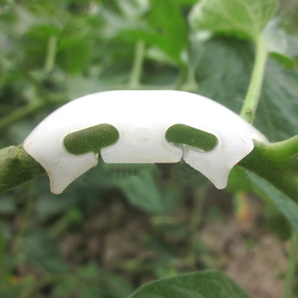 100pcs Tomato Truss Garden Plant Support Fixing Clip for Trellis melon Vine
