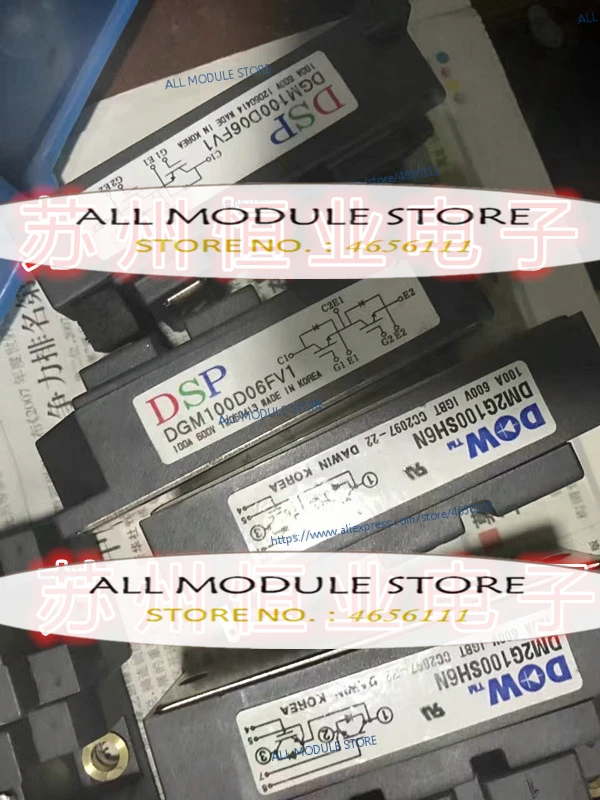 DGM100D06FV1