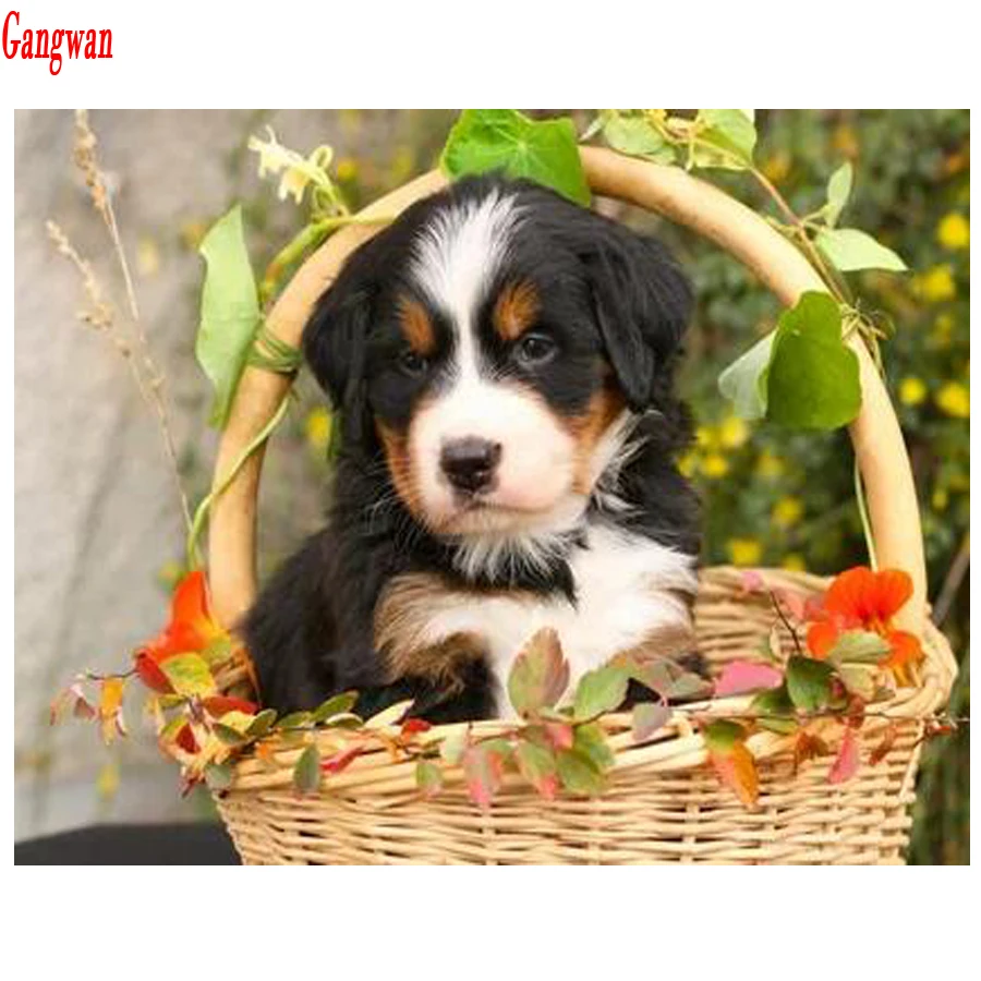 

Diamond painting embroidery Puppy Bernese Mountain Dog crystal beads 5d cross stitch kits handwork animal mosaic rhinestone pet
