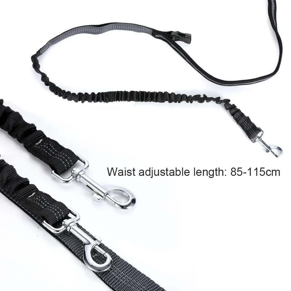 leash for cat