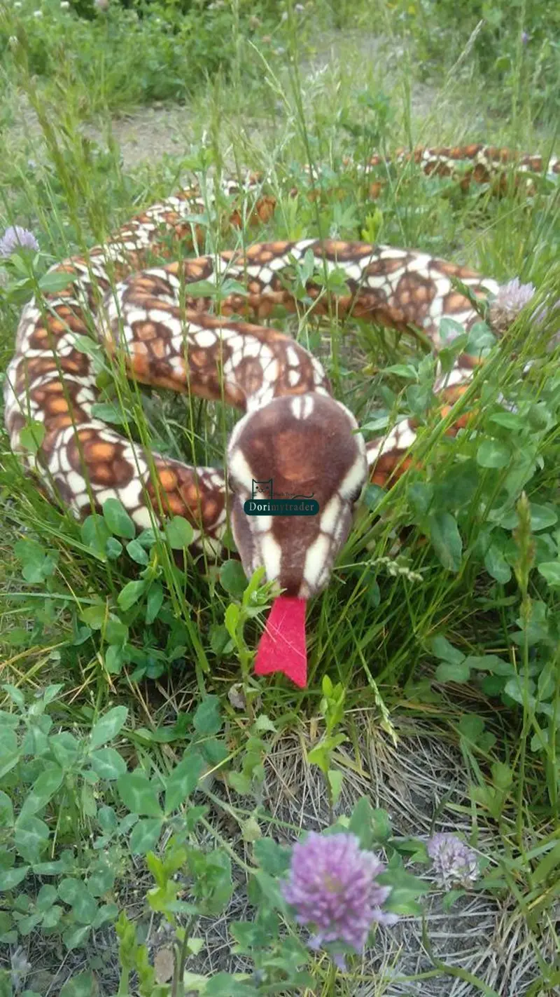 Dorimytrader 300cm Giant Simulated Animal Snake Plush Toy Soft Stuffed Snakes Tricky toys Photography props 118inches DY61677(16)_1