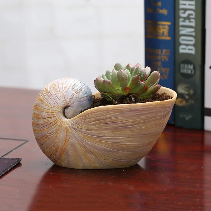 

reative pearly nautilus planter succulent plants flower pot Fashion resin field conch plants potted home garden decoration