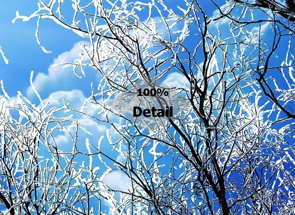 18685209-ca47a5f1aeceb6d3eee4e6a9fe8c7b04-4