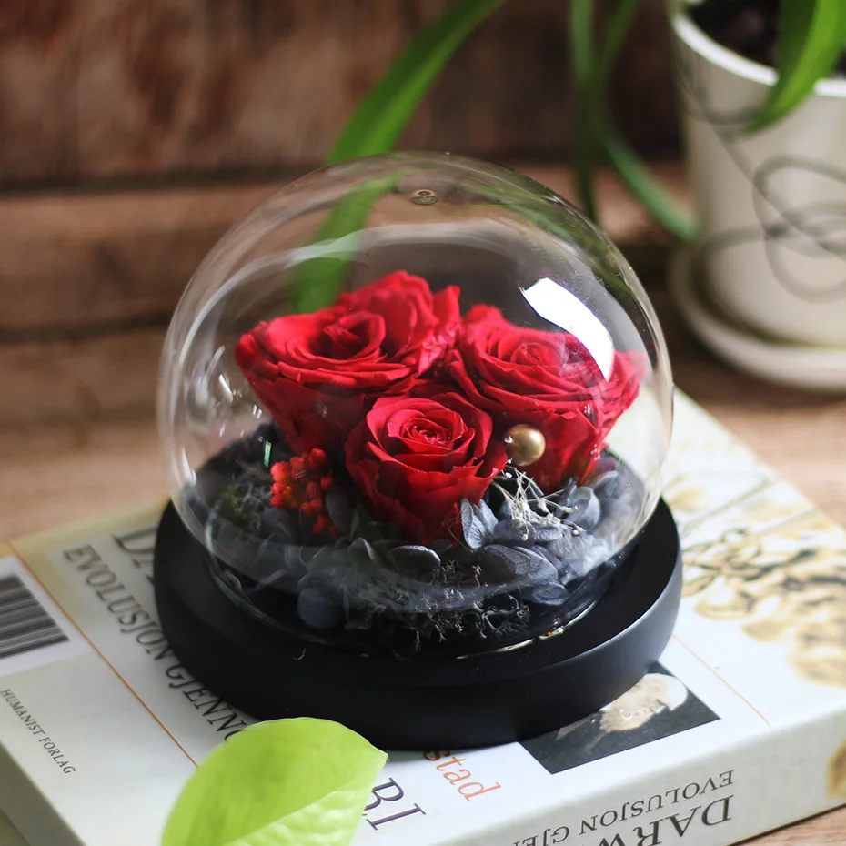 Красавица и Чудовище засушенные розы Стекло купол на день рождения подарки для подруги бессмертная роза цветы светодиодный в Стекло подарок на год