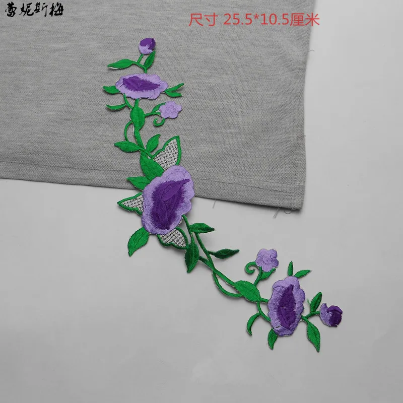 O1CN01IXQn5j2Ml8SUZJCQi_!!2125799867_