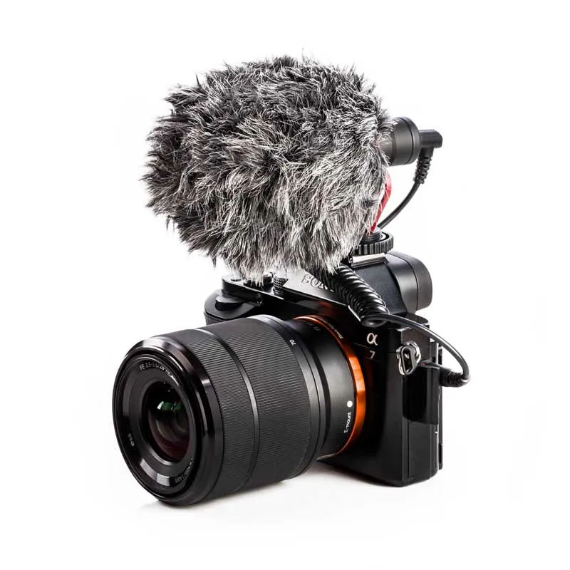 Microphone 