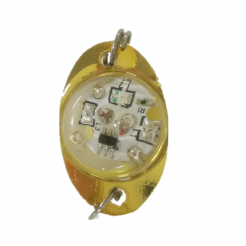 fish led