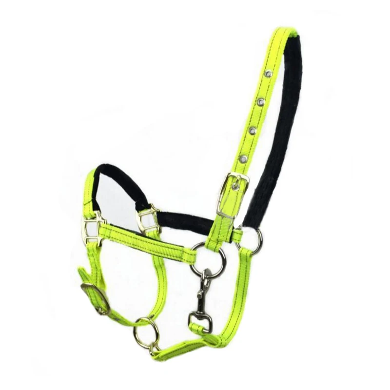 

Halter Headstall Horse equipment horse riding paardensport equestrian paard equitation cheval horse riding equipment sorft nylon
