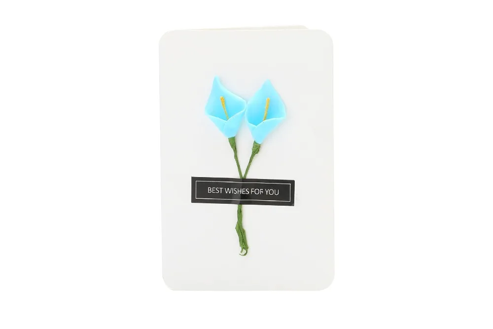 8886599873_1391300476