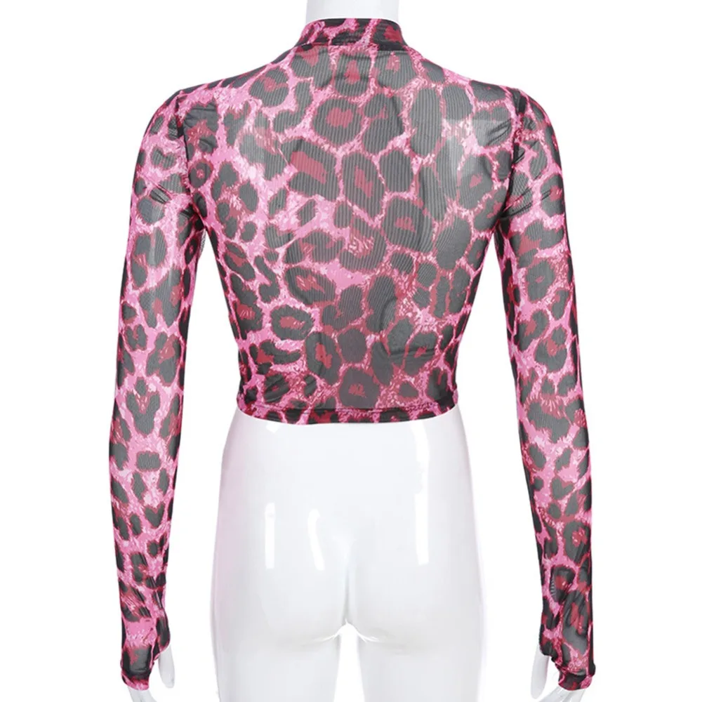 1 (4)
