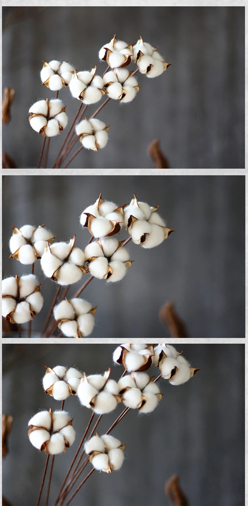 JAROWN Artificial Colorful Cotton Flower Branch Home Furnishings Flower Arrangement Art Wedding Decor Cotton Dried Flowers (9)