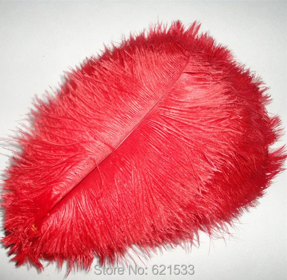 FO072 (4)