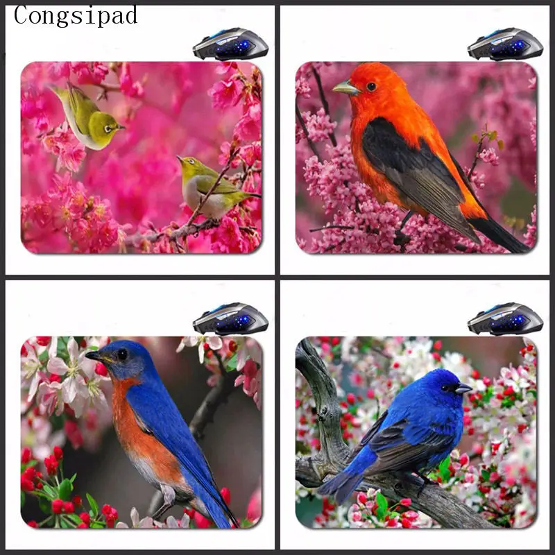 Congsipad красочные Pajaros пользовательские противоскользящие высокой четкости печати
