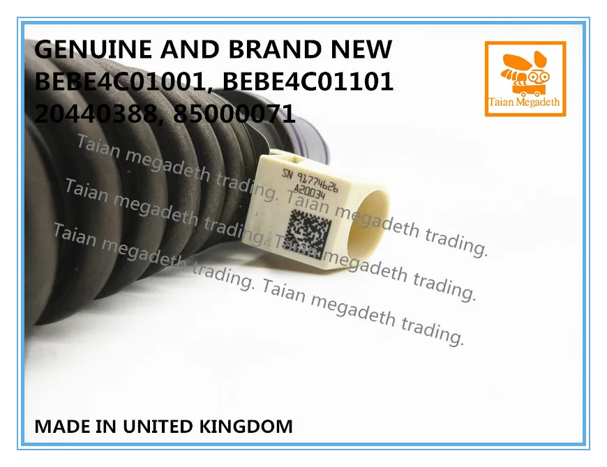 BEBE4C01101E_
