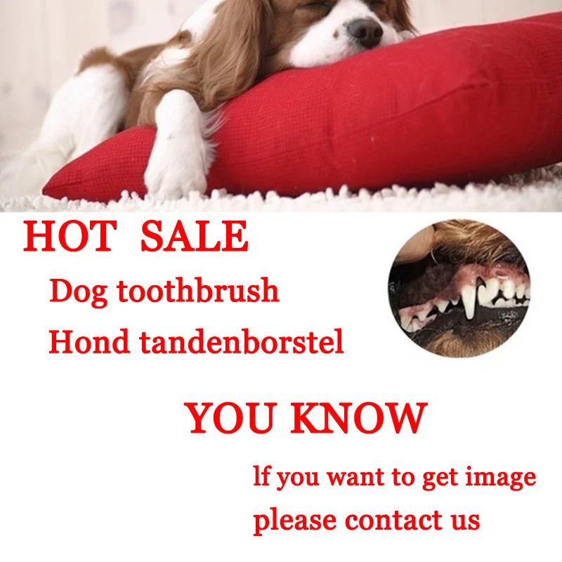 Chien-brosse-dents-jouet-pour-animal-domestique-chien-jouet-m-cher-chien-en-peluche-petite-brosse
