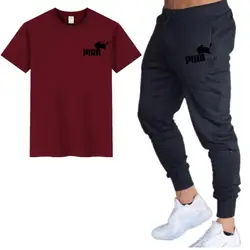 2019 Harajuku мужская футболка + брюки Мужская брендовая одежда костюм из двух предметов модные повседневные Удобная футболка спортивная одежда