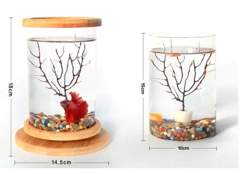 1 шт. стеклянный аквариум для рыбы Betta, Бамбуковая основа, мини-украшение для аквариума, аксессуары для аквариума, вращающаяся декоративная миска для рыбы, аксессуары для аквариума