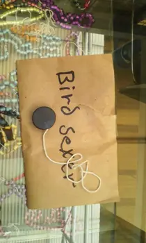 

2016 free shiping new product pigeon and bird sexer ,Gender detector 20pcs