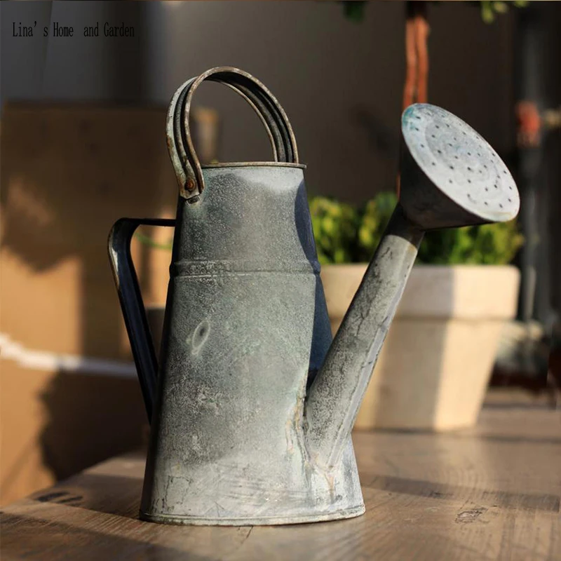 industrial rustic vintage handcrafted small metal watering canin Water