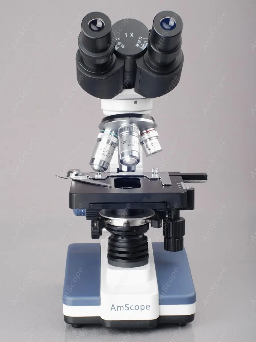 AmScope Supply 40X 2000X светодиодный лабораторный бинокулярный композитный МИКРОСКОП w 3 D