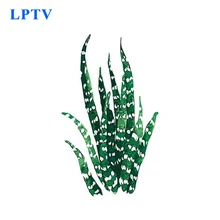 Выполненные Sansevieria Trifasciata Prain ручная роспись Nordic Стиль завод DIY холст украшения дома плакат картина маслом