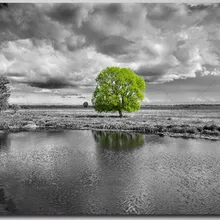 На заказ Алмазная картина Полная площадь/круглый мультфильм дерево цветок пейзаж eigen foto Алмазная вышивка аксессуары eid box ima кошки