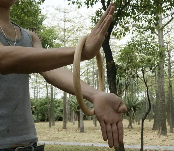 265mm chinesisches Kung Fu Hoop Holz Rattan Ring Wing Chun Handkrafttraining 