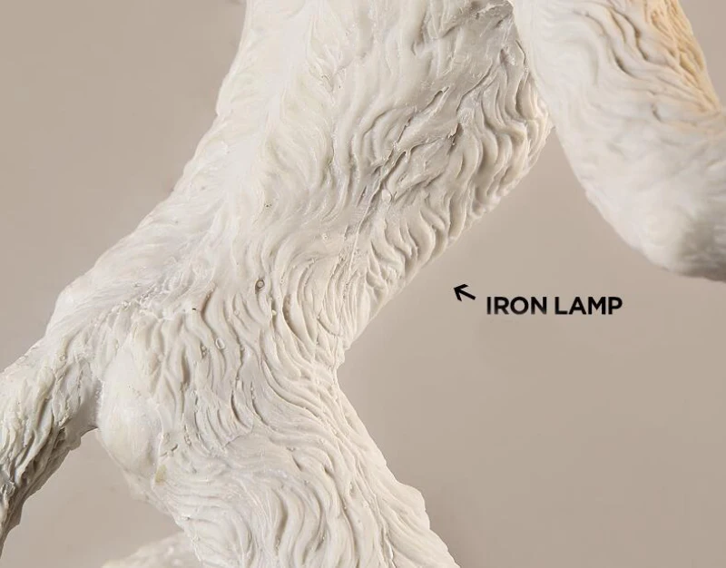 light 6