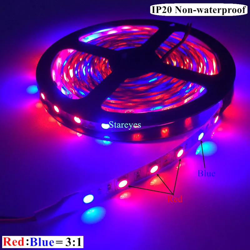 3 Red 1 Blue IP20 SMD 5050 300 светодио дный 5 м Светодиодные ленты завод Свет светодио дный Фито лампы полного спектра светодио дный Fitolampy светать для парниковых гидропоники завод - Испускаемый цвет: 3 Red 1 Blue IP20